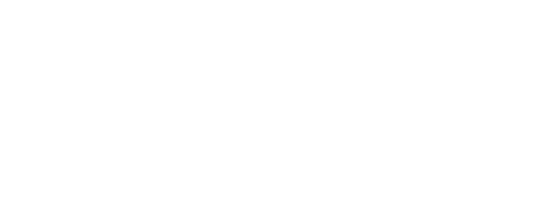 Schwarz – Coaching und Supervision Basel – horizontales Logo