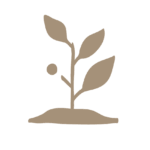 Setzling-Icon für das 6-Stunden-Coachingpaket bei SCHWARZ – Coaching und Supervision in Basel