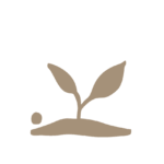 Keimling-Icon für das Einzelcoaching-Startpaket bei SCHWARZ – Coaching und Supervision Basel