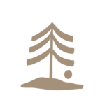 Baum-Icon für das umfangreiche 12-Stunden-Coachingprogramm bei SCHWARZ – Coaching und Supervision Base